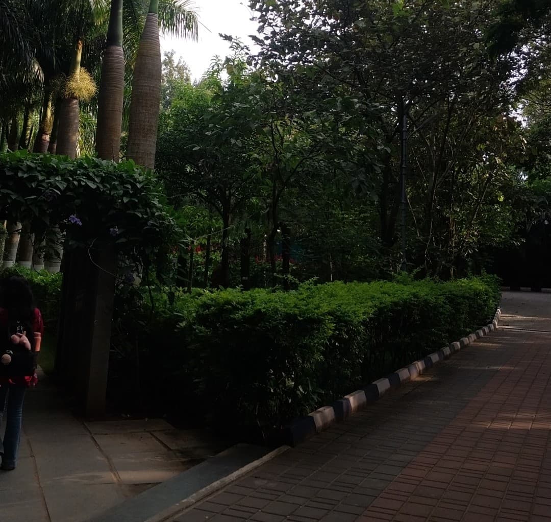 Alliance University Bangalore Academic Building photo 24